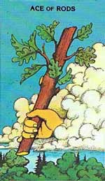 tarot1.jpg